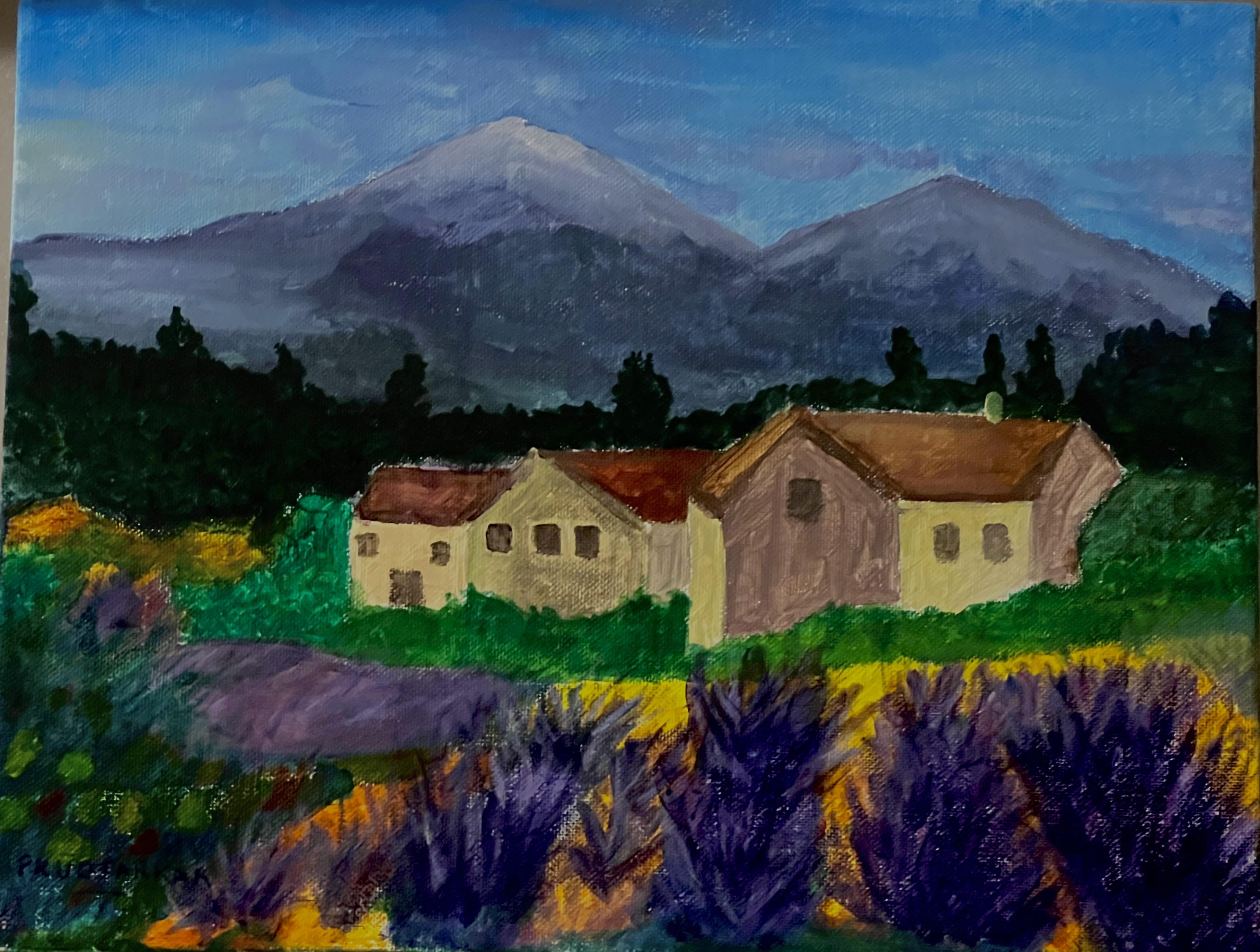 Lavande en Provence lavender fields